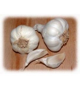 Ail poudre gélules 230mg