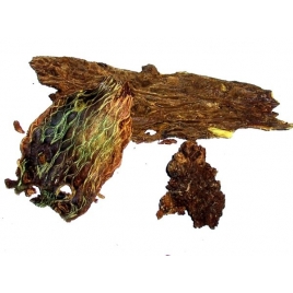 SCUTELLAIRE - HUANG QIN Gélules