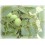 Noix - Juglans regia Extrait Alcoolique BIO
