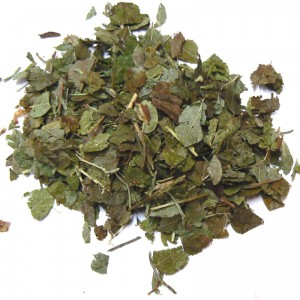 Alchemille vulgaire plante