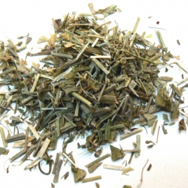 Bourse à Pasteur plante