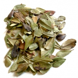 Busserole BIO feuille