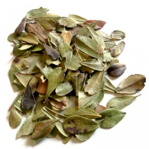 Busserole BIO feuille