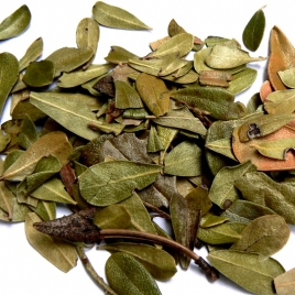 Busserole BIO feuille