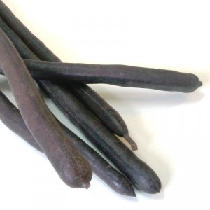 Casse Muette Canéficier