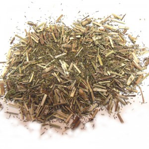 Gaillet jaune Caille-lait plante