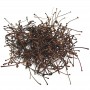 Cerisier BIO pédoncule