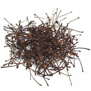 Cerisier pédoncule coupé