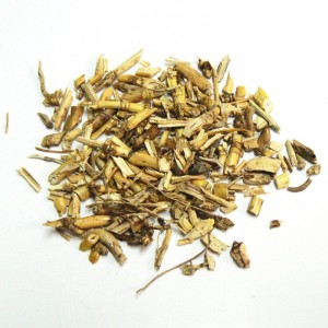 Petit Chiendent BIO rhizome