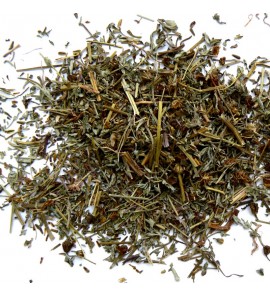 Chrysanthellum plante