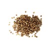 Coriandre fruit poudre