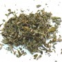 Damiana feuille