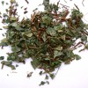 Desmodium feuille