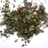 Desmodium feuille