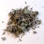 Desmodium feuille