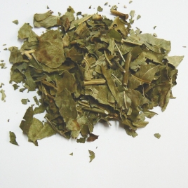 Frêne BIO feuille