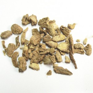 Gingembre BIO racine