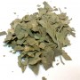 Ginkgo feuille BIO