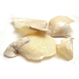 Poudre de Nacre (Perle) Zhen Zhu Mu