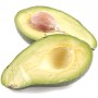 Avocat BIO Huile vierge