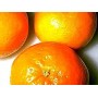 Mandarine rouge zeste HE