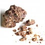 Ase fétide poudre 50g