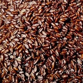 Psyllium poudre
