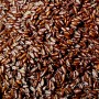 Psyllium poudre