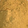 Gugul poudre 450mg gélule végétale