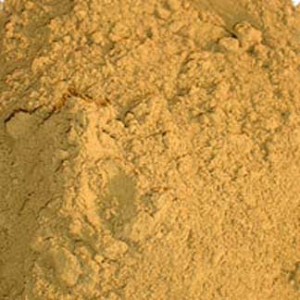 Gugul gélule végétale poudre 300mg