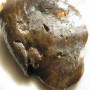 Galbanum Férule BIO HECT