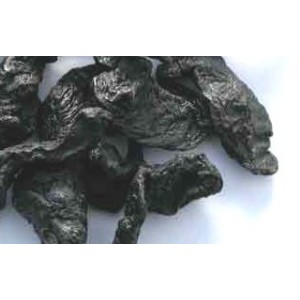 Rehmannia cuit poudre concentrée pour boisson