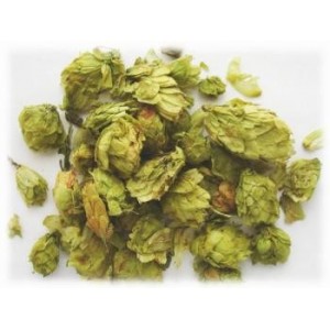 Houblon gélule de poudre totale à 130mg