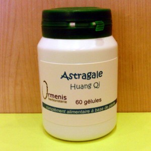 ASTRAGALE HUANG QI Gélules concentrées