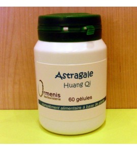 ASTRAGALE HUANG QI Gélules concentrées