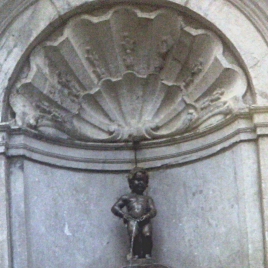 Dépuratif - équilibre du Ph - tisane