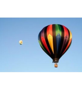 Ballonnement et Digestion - mélange pour tisane