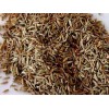 Cumin fruit poudre