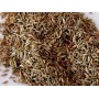Cumin fruit poudre