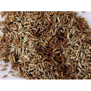 Cumin fruit BIO HECT