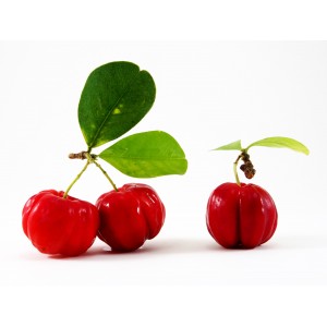 Acerola jus concentré poudre