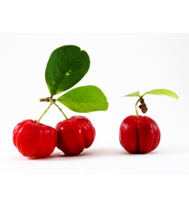 Acerola gélule de poudre de jus concentré 200mg