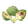 Artichaut BIO feuille