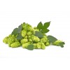 Houblon gélule de poudre totale à 180mg