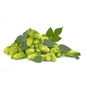 Houblon gélule de poudre totale à 180mg