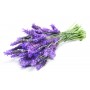 Lavande BIO eau florale