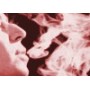 Arrêt du Tabac