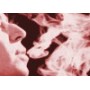 colis Arrêt du Tabac