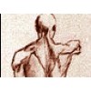 Colis Articulations