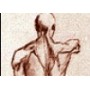 Articulations